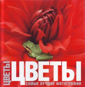 Цветы.