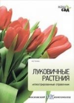 Луковичные растения