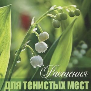 Растения для тенистых мест