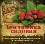 Земляника садовая.Секреты богатого урожая