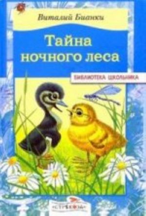 Тайна ночного леса