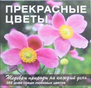 Прекрасные цветы. Шедевры природы на каждый день