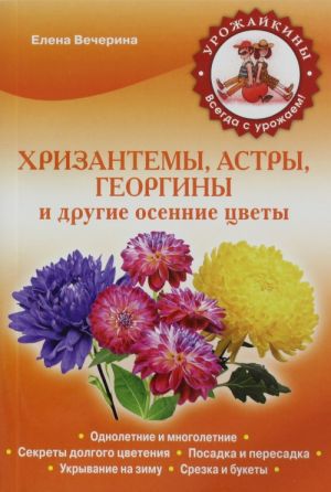 Хризантемы, астры, георгины и другие осенние цветы