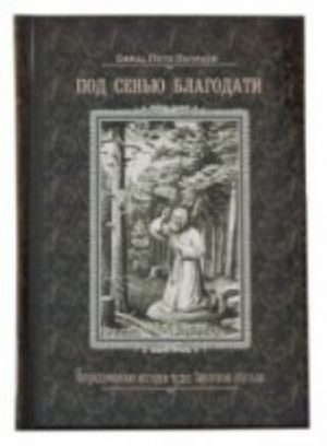 Под сенью благодати.Непридуманные истории чудес Саровской обители