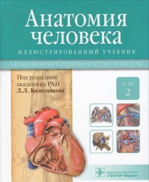 Анатомия человека.Т.2-Спланхнология и сердечно-сосудистая система.Учебник в 3 томах