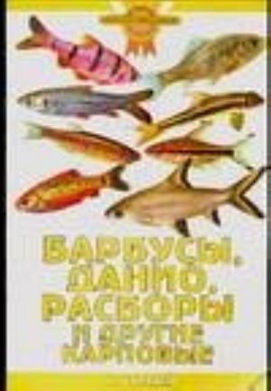 Барбусы, данио, расборы и другие карповые