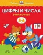 Цифры и числа (5-6 лет) (нов.обл.)