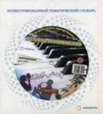 Musical Instruments / Muzykalnye instrumenty. Illjustrirovannyj tematicheskij slovar