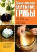 Самые полезные целебные грибы. Чайный гриб, тибетский молочный гриб, березовый гриб чага, индийский морской рис