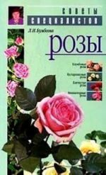 Розы: Клумбовые розы; Кустарниковые розы; Плетистые розы и др