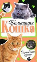 Domashnjaja koshka. Soderzhanie i ukhod