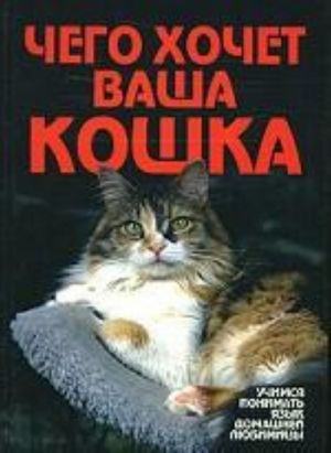 Чего хочет ваша кошка