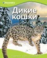 Дикие кошки