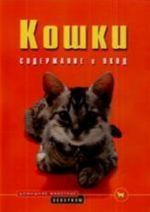 Кошки. Содержание и уход