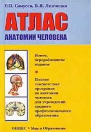 Atlas anatomii cheloveka