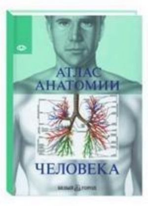 Atlas anatomii cheloveka. Vse organy chelovecheskogo tela. 6-e izdanie