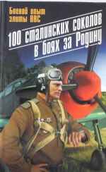 100 сталинских соколов в боях за Родину. Боевой опыт элиты ВВС