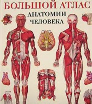 Bolshoj atlas anatomii cheloveka