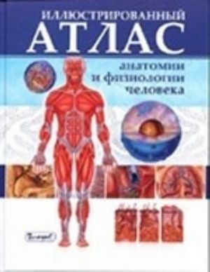 Illjustrirovannyj atlas anatomii i fiziologii cheloveka