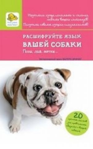 Расшифруйте язык вашей собаки. Позы, лай, метки