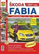 Skoda Fabia. Ekspluatatsija, obsluzhivanie, remont