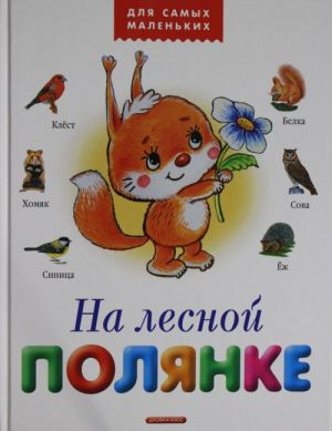 На лесной полянке