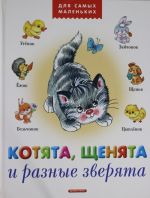 Котята, щенята и разные зверята