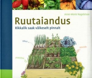 RUUTAIANDUS. RIKKALIK SAAK VÄIKESELT PINNALT