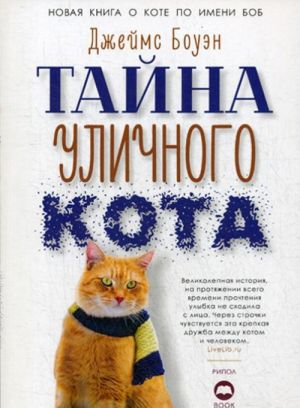 Тайна уличного кота