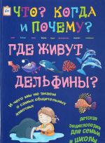 Где живут дельфины и чего мы не знаем о самых общительных животных