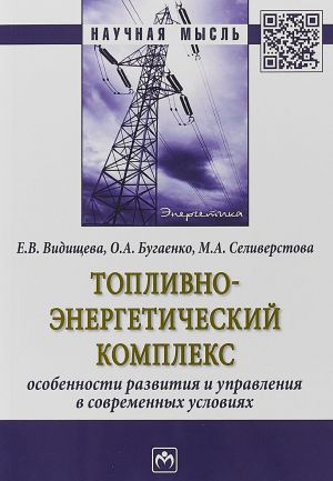 Топливно-энергетический комплекс. Особенности развития и управления в современных условиях