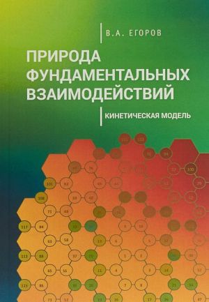 Priroda fundamentalnykh vzaimodejstvij. Kineticheskaja model