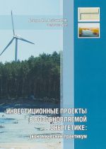 Investitsionnye proekty v vozobnovljaemoj energetike. Ekonomicheskij praktikum