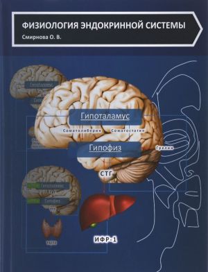 Физиология эндокринной системы. Учебное пособие