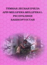 Temnaja lesnaja pchela Apis mellifera mellifera L. Respubliki Bashkortostan