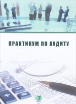 Практикум по аудиту