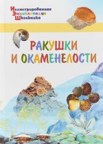 Ракушки и окаменелости