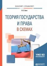 Teorija gosudarstva i prava v skhemakh. Uchebnoe posobie dlja bakalavriata i spetsialiteta