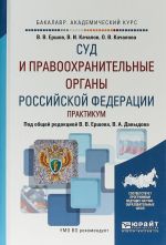 Суд и правоохранительные органы РФ. Практикум. Учебное пособие для академического бакалавриата