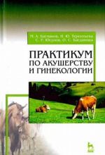 Praktikum po akusherstvu i ginekologii. Uchebnoe posobie