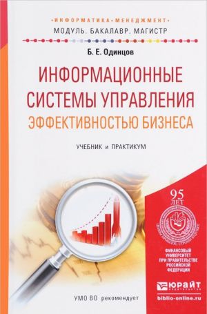 Информационные системы управления эффективностью бизнеса. Учебник и практикум