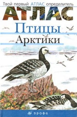 Птицы Арктики