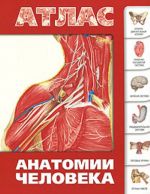 Atlas anatomii cheloveka.