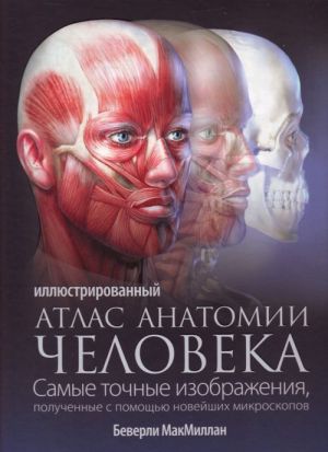 Illjustrirovannyj atlas anatomii cheloveka.