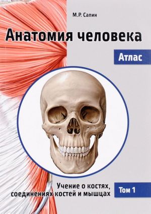 Anatomija cheloveka. Atlas. V 3 tomakh. Tom 1. Uchenie o kostjakh, soedinenijakh kostej i myshtsakh. Uchebnoe posobie