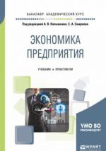 Ekonomika predprijatija. Uchebnik i praktikum dlja akademicheskogo bakalavriata