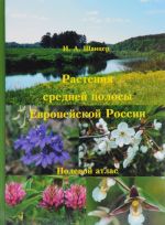 Растения средней полосы Европейской России. Полевой атлас