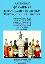 Домашнее приготовление фруктовых прохладительных напитков.