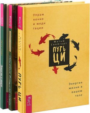 Put Tsi. Energija vashego doma. Energii v mire (komplekt iz 3 knig)