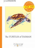 The Turtles of Tasman